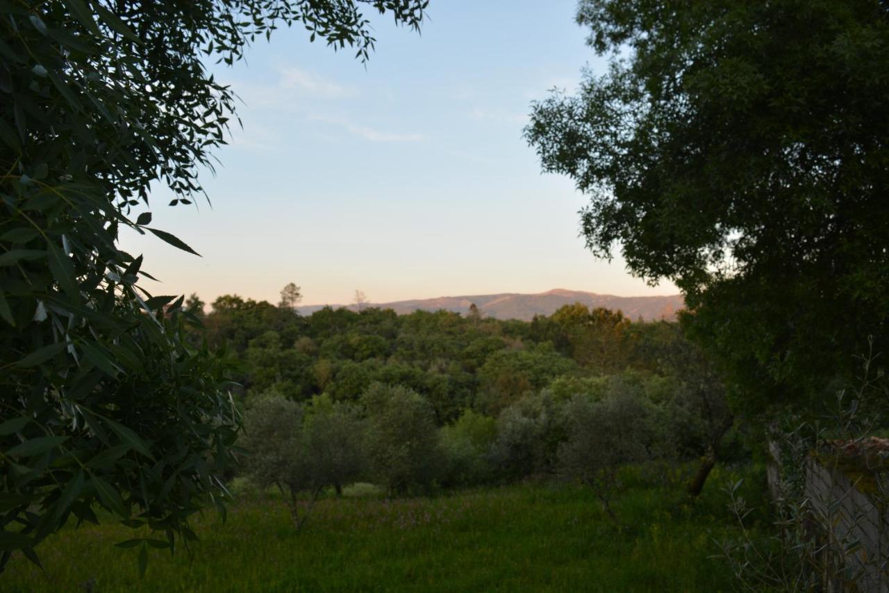 הוילה אנסיאו Casa Da Pedra מראה חיצוני תמונה