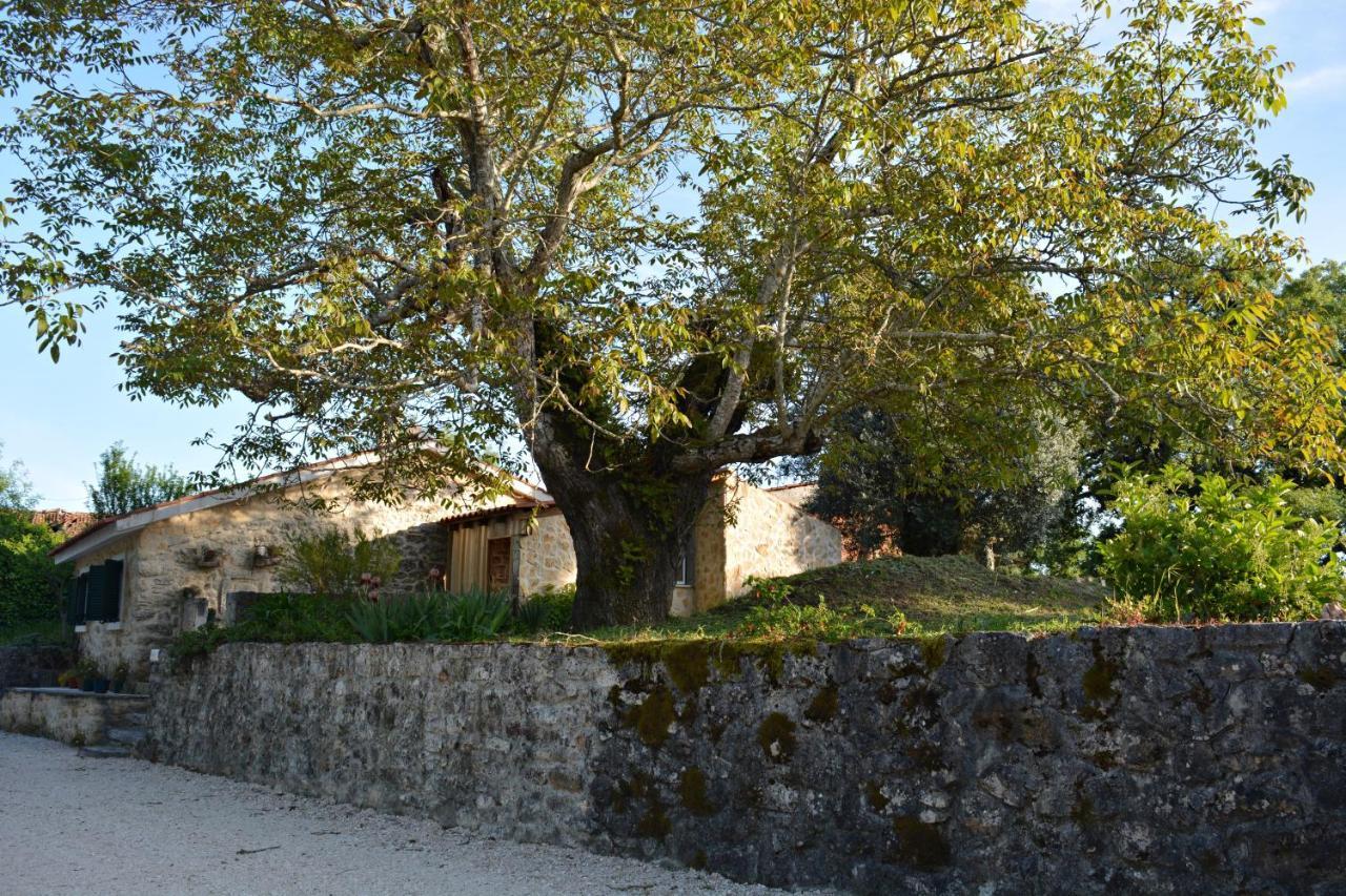 הוילה אנסיאו Casa Da Pedra מראה חיצוני תמונה