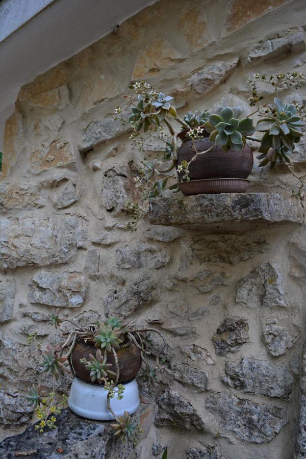 הוילה אנסיאו Casa Da Pedra מראה חיצוני תמונה