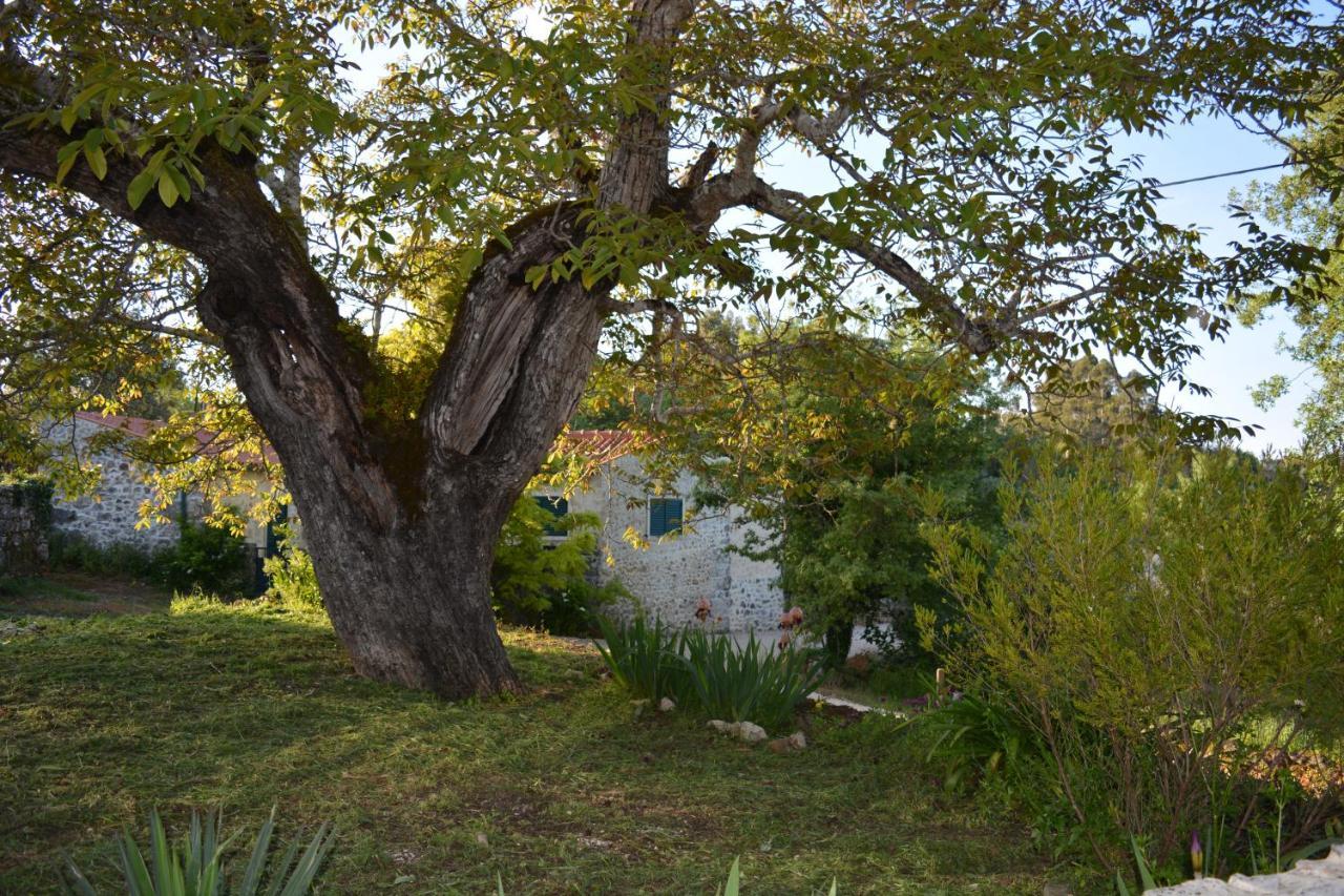 הוילה אנסיאו Casa Da Pedra מראה חיצוני תמונה